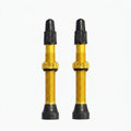 Tubeless Bicycle Valves — Studio - Clean | Generated by Modelize