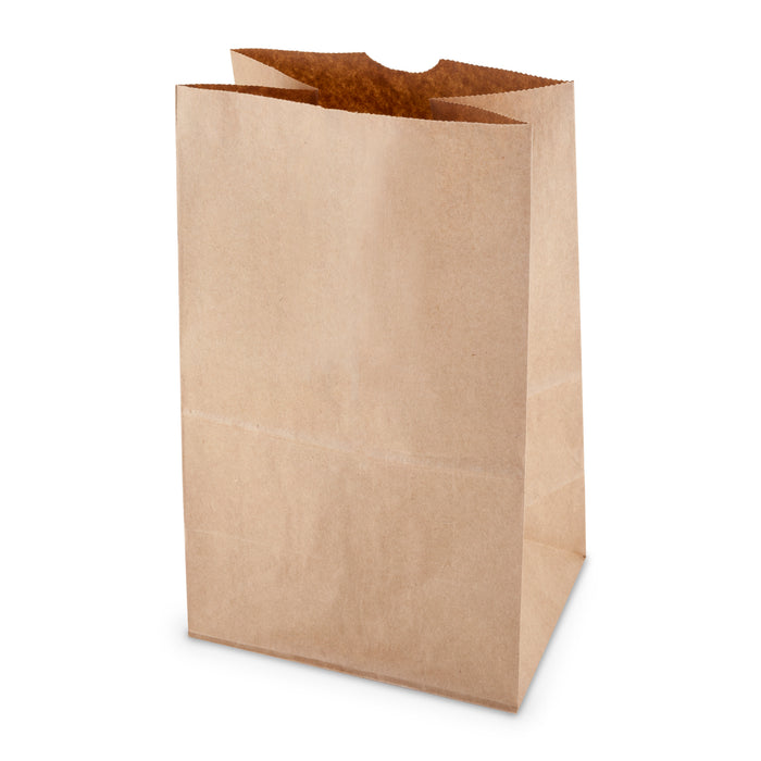 20 lb Heavy Brown Paper Bags, Set of 500