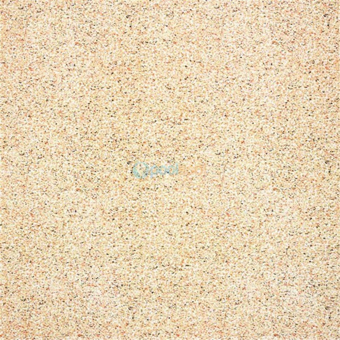 Coral Sand