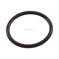 Bulkhead Union O Ring for Pentair Clean & Clear Plus / FNS Plus / Quad DE