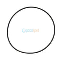 Cell O-ring for Zodiac LM3 Chlorinator