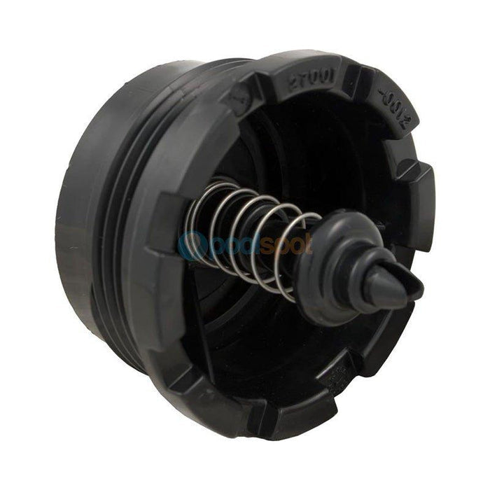 Check Valve & Spring Kit for Sta-Rite System 2 PLD / PLM