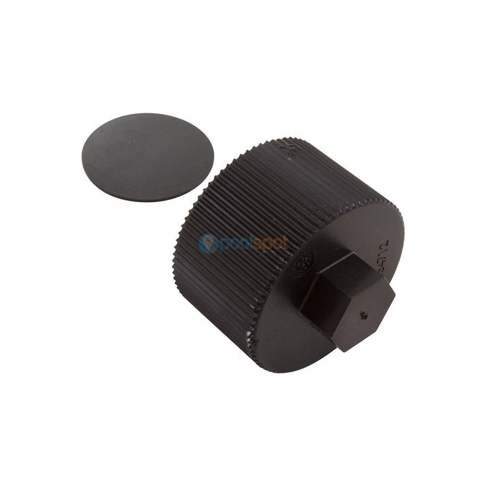 Drain Cap Assembly for Sta-Rite Posi-Clear RP