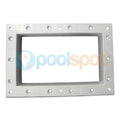 Escutucheon Plate for Zodiac / Poolrite MK2 Skimmer