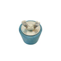 Expansion Plug, Tapered, 32mm / 1¼"