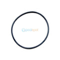 Lid O Ring for Davey / Monarch Whisper Pump (Pre 2008)
