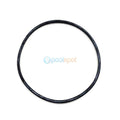 Lid O Ring (Old Style) for Davey Typhoon "C" Mk2 / Monarch Cyclone / ESPA Silent