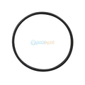 O Ring, Cell Housing for Pool Controls SG / Saltigem / Gemini / Sterisel Salt Chlorintor