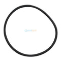 O Ring, Generic, to suit Lid for Onga BR / Pantera PCF / Quiptron DQ / Paramount / Waterco Trimline Mk1 / Stroud SHD
