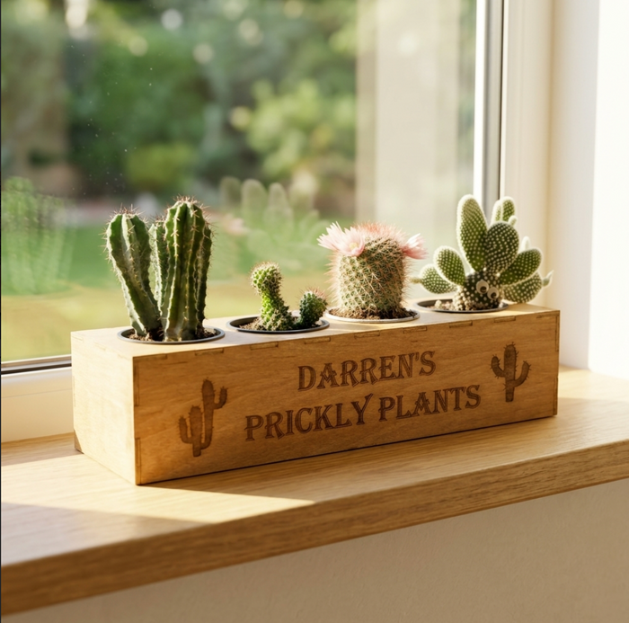 A wooden rectangular personalised planter box engraved with 'DARREN'S PRICKLY PLANTS', a cactus garden holding four small cacti and succulents, placed on a wooden windowsill with a garden view outside.