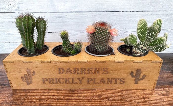Personalised Cactus Garden Planter Box