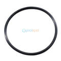 Pump Lid O ring for Zodiac Flopro / E3 / Epump / VS Pump