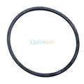 Pump Lid O Ring (Old Style) for Davey Typhoon "T" Pumps