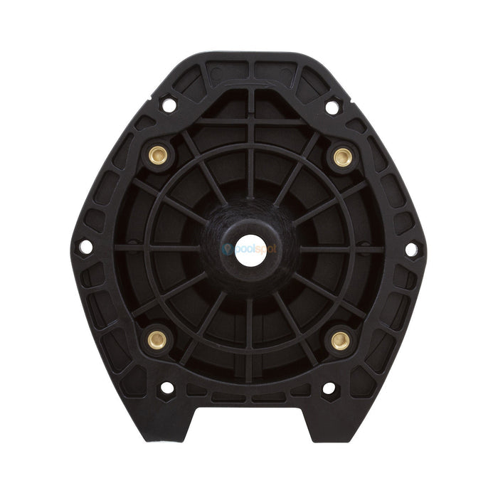 Seal Plate, Black V2 (Aug 2014 Onwards) for AstralPool Pumps