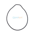 Seal Plate O-Ring for Astral Pool CTX Mk2 / E-Series Mk2 / E-combi / P320 Pumps (Aug 14 to 2022)