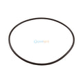 Tank O Ring for Sta-Rite Posi-Clear RP