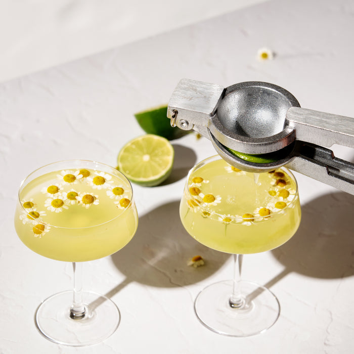 Viski Professional Citrus Juicer in Silver