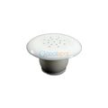 Waterco / S&P 25mm / 1" Air Injector