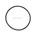 Zodiac TRi Electrode / Cell O-Ring